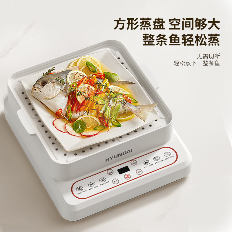 HYUNDAI(现代)多功能电蒸锅XX-DZG08 白色 18L高清大图