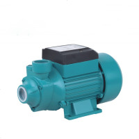 定做 直流自吸泵 家用48V自吸抽水泵 电瓶车抽水泵 12v 直流增压泵