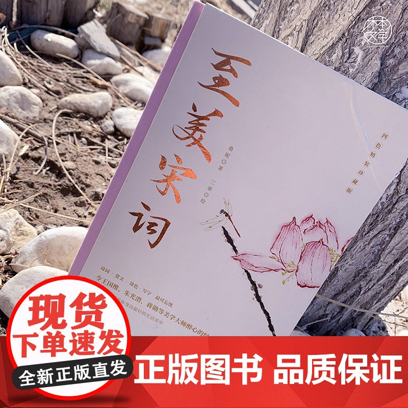 [ 正版书籍]至美宋词 书且以优雅过一生杨绛传作家桑妮全新力作令王国维、蒋勋等美学大师醉心的经典选篇高清大图