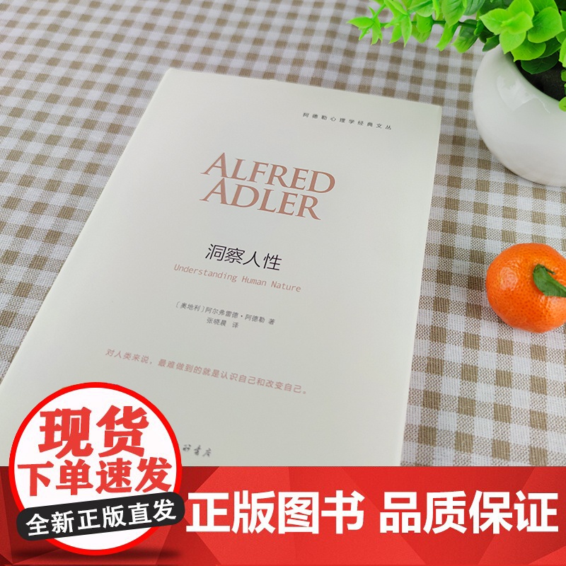 洞察人性 阿德勒心理学经典译 自卑与超越作者三部曲 人性心理学儿童教育心理学与生活人生哲学意义存在价值 心理学入门基础书高清大图