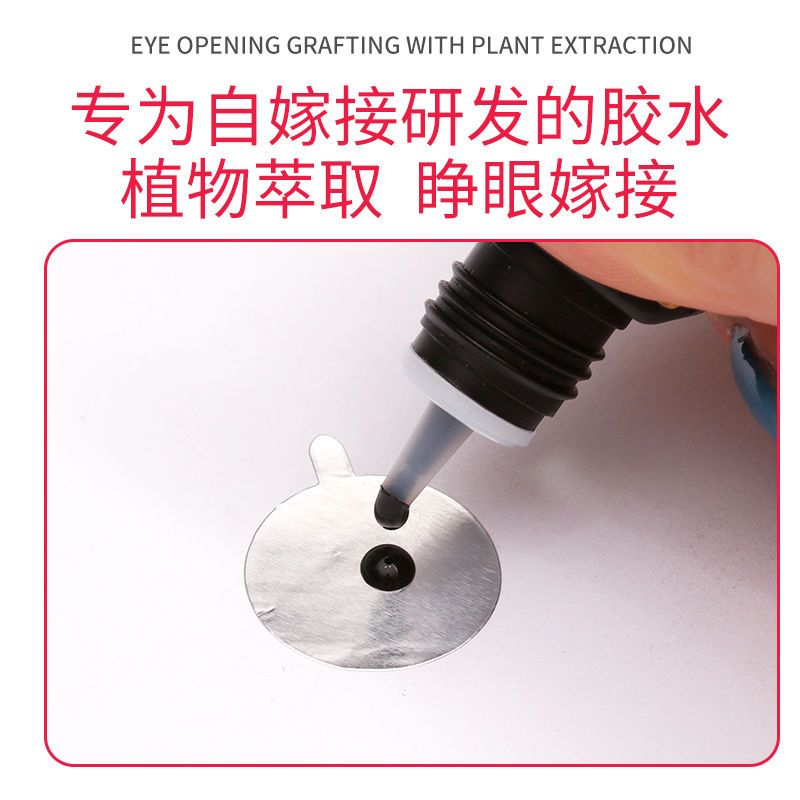 芮花雨嫁接睫毛种睫毛假睫毛胶水防过敏持久无味无刺激自用速干型 一瓶(5ml)