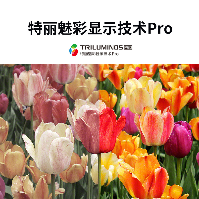 索尼(SONY) KD-85X85J 85英寸 4K超高清HDR 安卓10.0 智能语音 液晶护眼智慧全面屏平板电视