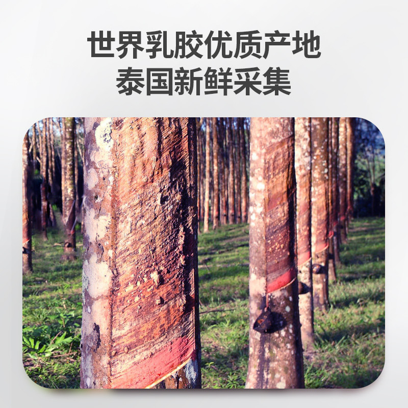 佳奥 天丝波浪颗粒乳胶枕天丝外套款J13B17AW2白色低枕50*30*9-7CM高清大图