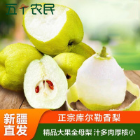 [五个农民]库尔勒香梨新疆产地直发5斤装精品果全母梨单果120g+