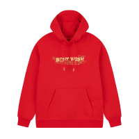 361°运动卫衣女新款连帽套头卫衣常规休闲上衣562419803