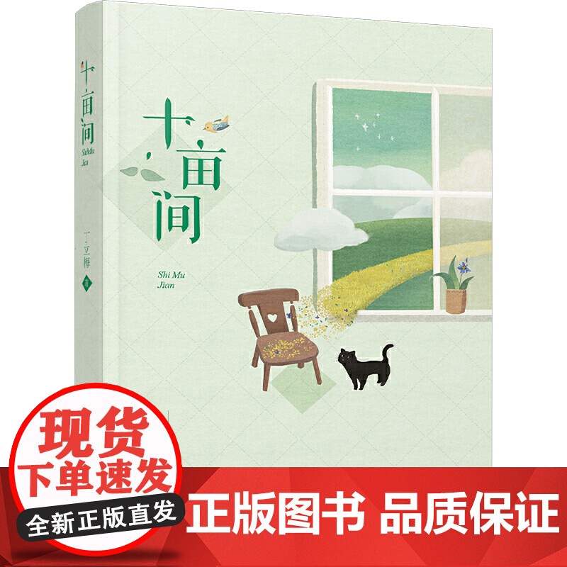 丁立梅散文精选集 套装4册 合欢树下 十亩间 只因相遇太美 低到尘埃的美好 中考语文阅读热点作家 多次入选中考语文试题高清大图