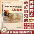 【醉染正版】肉鸡健康养殖与疾病防控关键技术 肉鸡养殖技术肉鸡疾病防控 鸡的营养北农阳术