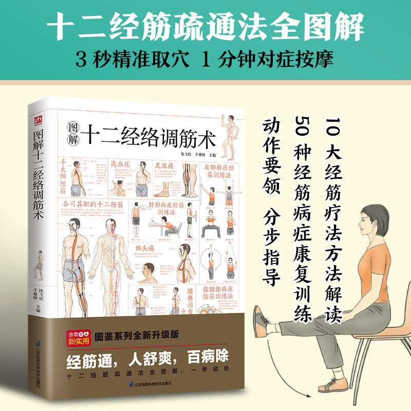 正版新书]图解十二经络调筋术---轻图鉴系列2陈飞松 于雅婷 编高清大图