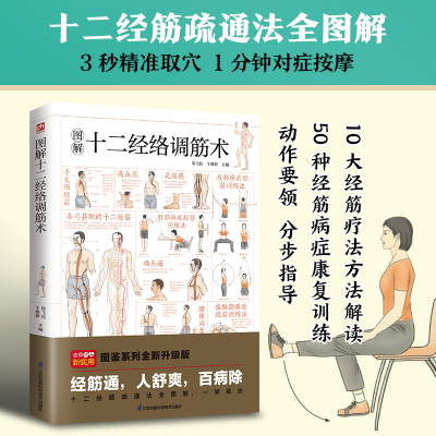 正版新书]图解十二经络调筋术---轻图鉴系列2陈飞松 于雅婷 编