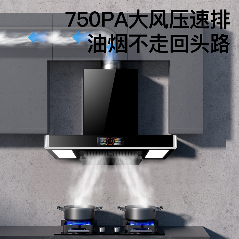 欢呼好太太油烟机欧式上门安装T168