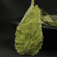 SUN CLARA淫羊藿125g/瓶可搭阿拉善肉苁蓉锁阳