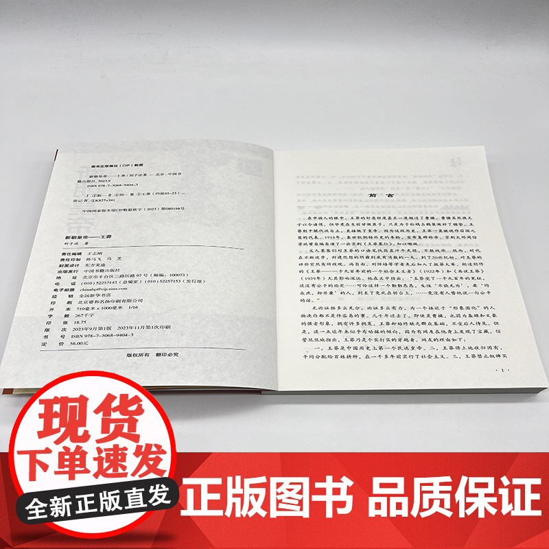 新朝皇帝——王莽高清大图