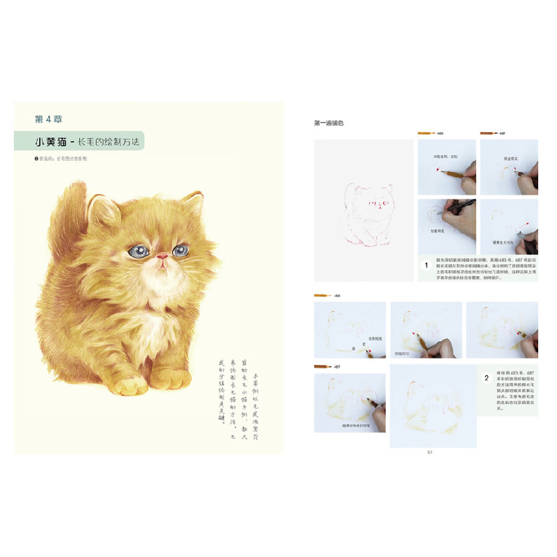 正版新书]萌新也能画 闪亮朋友圈的彩铅写实绘 萌猫篇(绘客出品高清大图