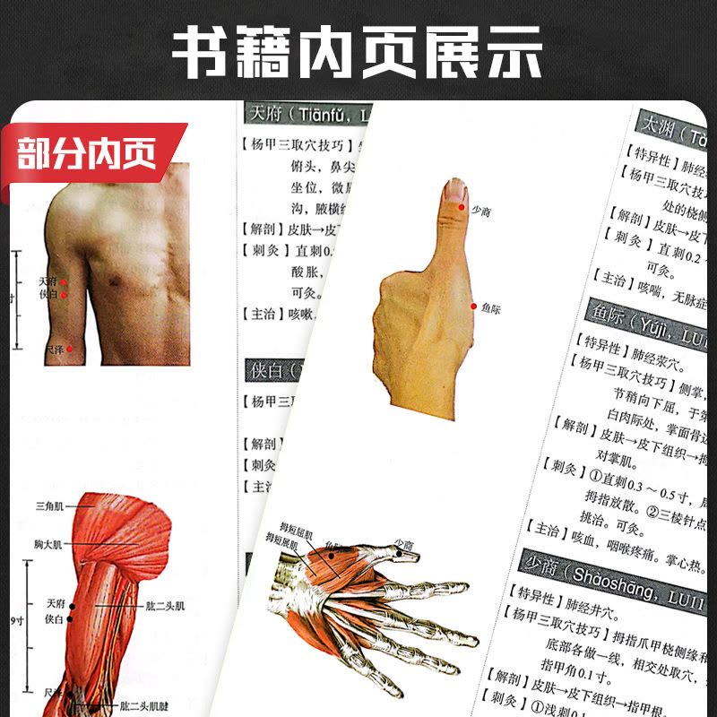 希少！ 針灸取穴入門 入江靖二