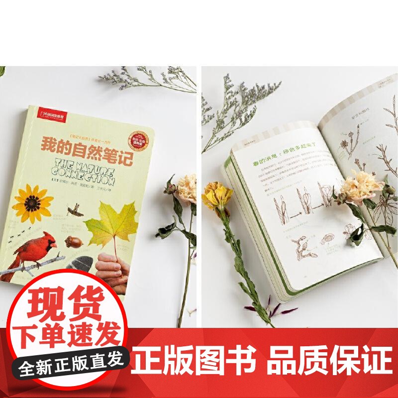 [央视网]我的自然笔记 笔记大自然亲子版 家长和宝宝一起开心的走近大自然 9787508640174 中信出版社 WX高清大图
