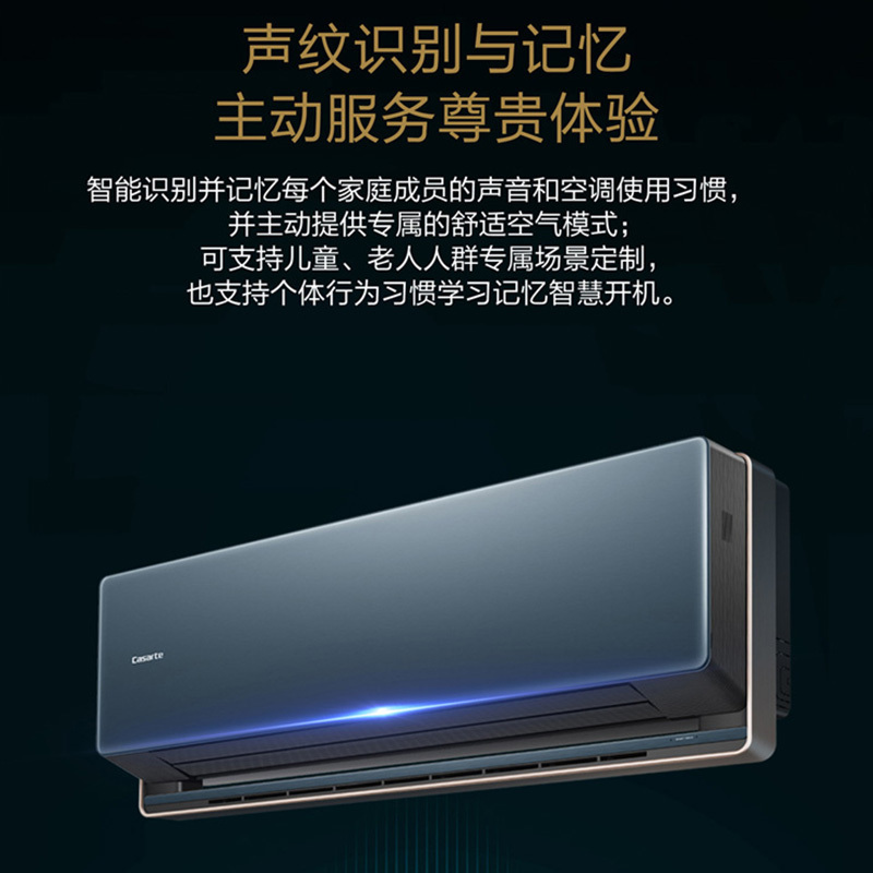 [轻奢空调]卡萨帝(Casarte)小2匹 新1级变频 IFD静电除尘 挂机空调CAS4611ZAAH(81)VU1