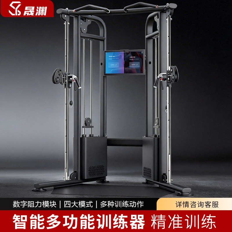 晟渊 小飞鸟龙门架综合训练器健身器材多功能力量器材CY-L-100F13