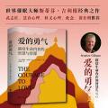 爱的勇气：联结生命内在的智慧与资源（世界催眠大师斯蒂芬·吉利根思想巅峰之作！武志