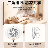 美的(Midea)电风扇家用风扇落地扇立式轻音节能电扇柔风降温宿舍循环大风量自然风[7叶落地遥控]SAC35BR