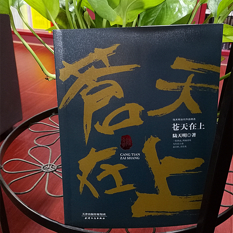 醉染图书苍天在上9787201133072高清大图