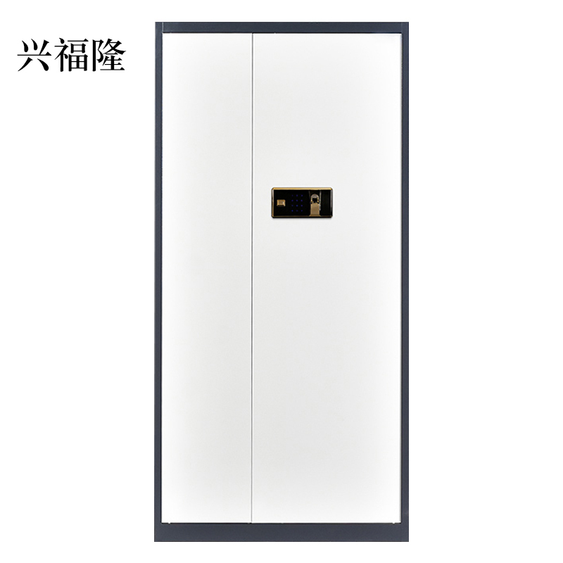 兴福隆办公文件柜国宝锁指纹保密柜电子密码锁财务档案柜保险柜资料柜铁