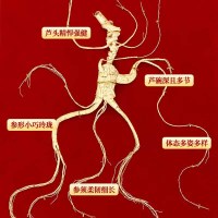 长白山人参干货礼盒野山参A3约20年补气补脾益肺生津野山参9g*1盒