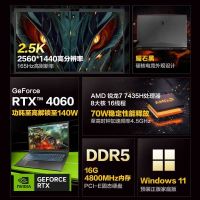 机械革命 蛟龙17K 17.3英寸电竞定制游戏本学习笔记本电脑(R7-7435H 16G内存 1TB固态 RTX4060 8G独显 高色域165HZ 2.5K屏)预售品
