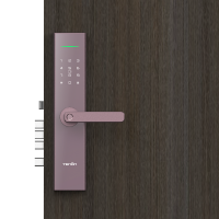 亚太天能(TENON)微信智能指纹锁家用指纹密码锁电子门锁 E11 星芒金