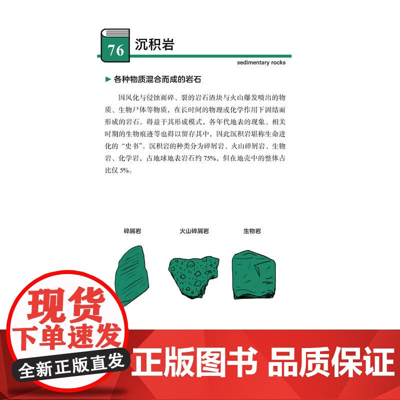 [正版新书] 给孩子讲进化论 [日]池田清彦 著;苏凌峰 译 清华大学出版社 自然科学教育与普及高清大图