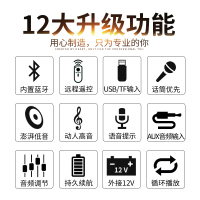 SanSui/山水 SS2-12 户外音响大功率拉杆广场舞音响户外插卡蓝牙音箱 蓝牙低音炮音箱 电脑音箱 带1只话筒
