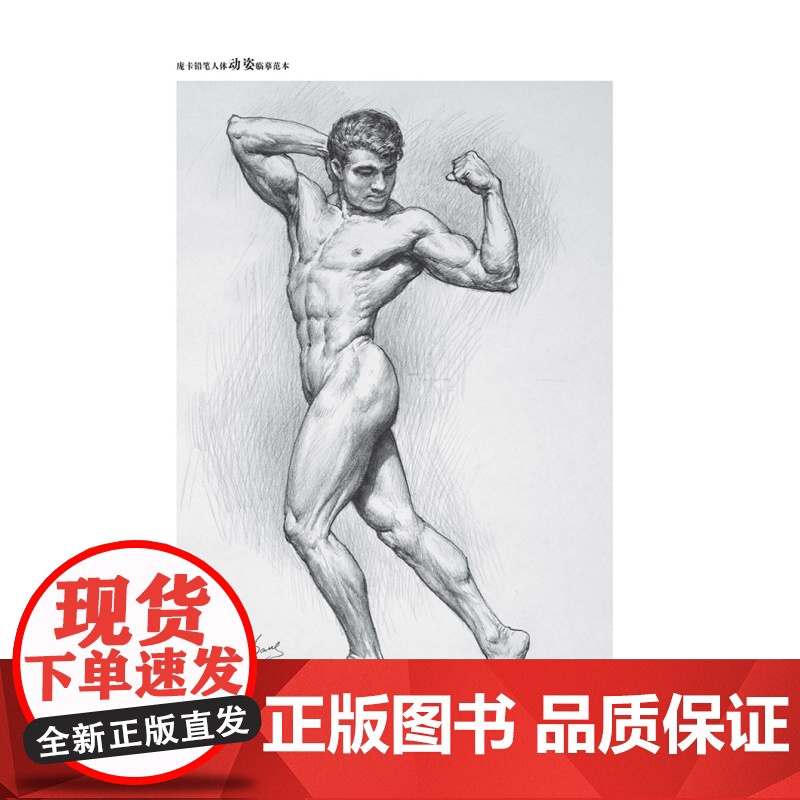 庞卡铅笔人体动姿临摹范本 人体画绘画爱好者艺术生工具书 上海人民美术出版社高清大图