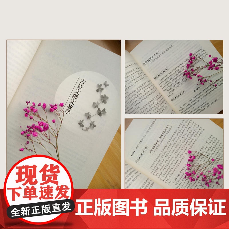 更美语文课:王君群文教学课例品读高清大图