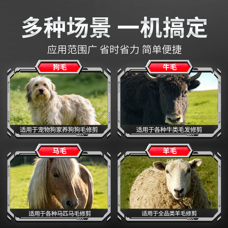 CIAA德国电动羊毛剪大功率电动羊毛推子专业宠物剪狗狗剃毛器高清大图