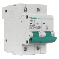 天正电气 TGB1N-125 2P C 100A 6kA AC400V 01060280019 微型断路器