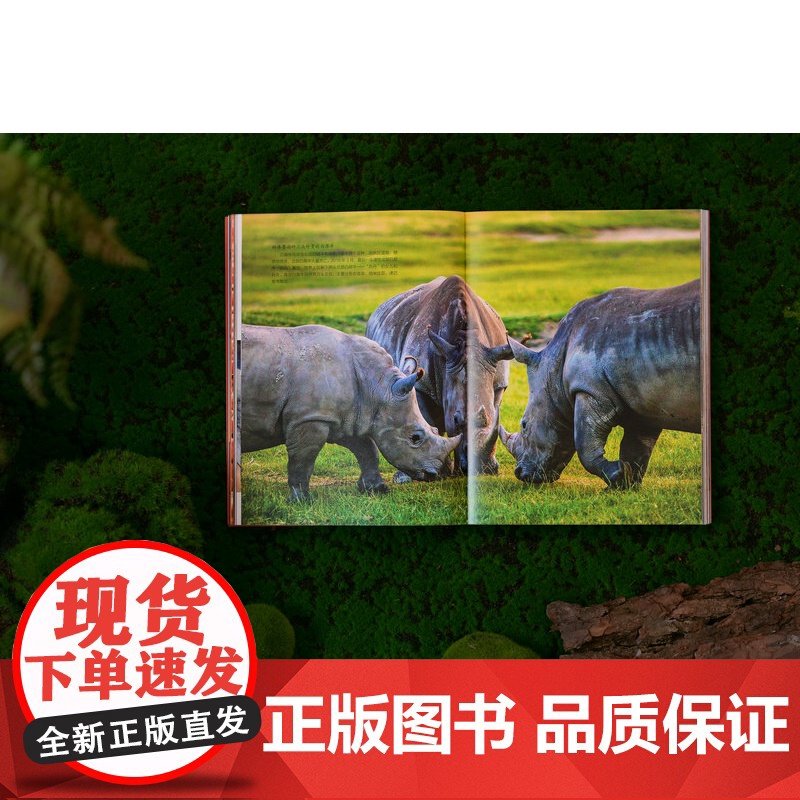 哇,狂野非洲! 陈远明/著 非洲 旅游 摄影 广西师范大学出版社高清大图