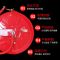 消防卷盘软管20米 消防软管卷盘软盘消防水管水带20/25/30米消火栓箱消防栓箱器材