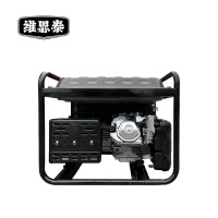 维思泰 发电机组汽油发电机 SH3900EX 台