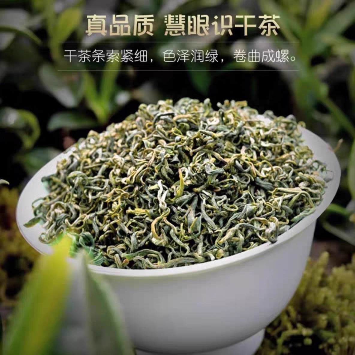 贵天下T433新茶特级正宗都匀毛尖茶叶250g贵州云雾绿茶明前春茶浓香耐泡高清大图