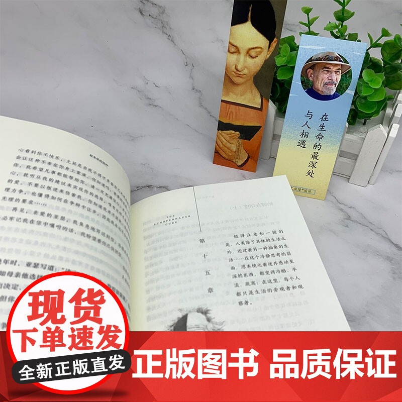 叔本华的治疗 欧文·D. 亚隆 著 心理学高清大图