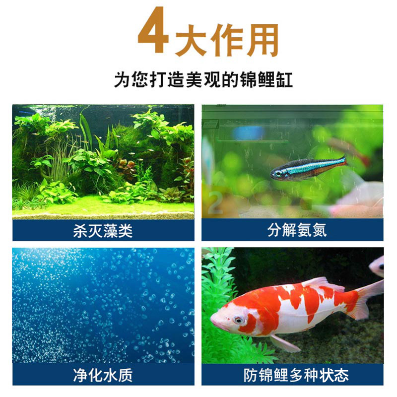 金鱼锦鲤硝化菌浓缩综合剂除藻剂除氯氨稳定剂硝化细菌净水剂高清大图