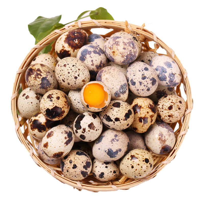 桃小淘新鲜生鹌鹑蛋100枚正宗农家散养宝宝辅食孕妇营养非鸡蛋鹅蛋