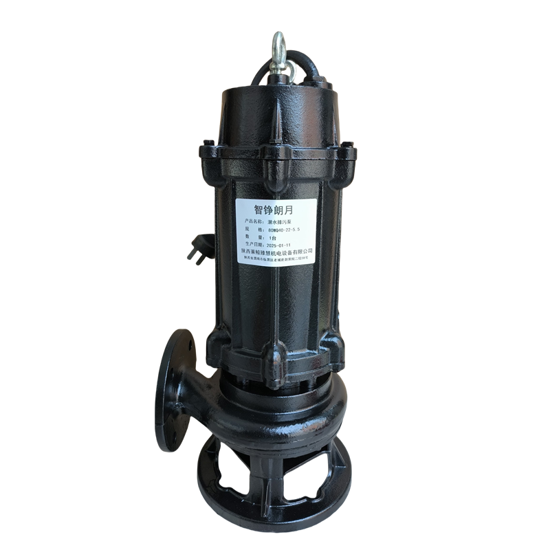 智铮朗月 潜水排污泵 80WQ40-22-5.5 台高清大图