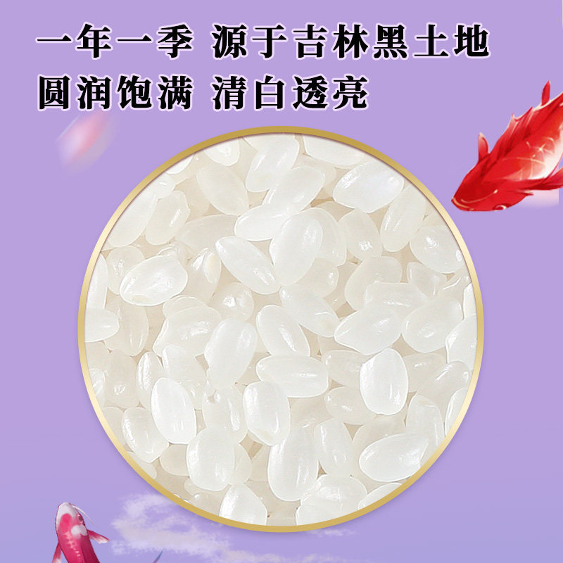 十月稻田香稻贡米5kg 东北大米粳米真空包装家庭食用大米高清大图