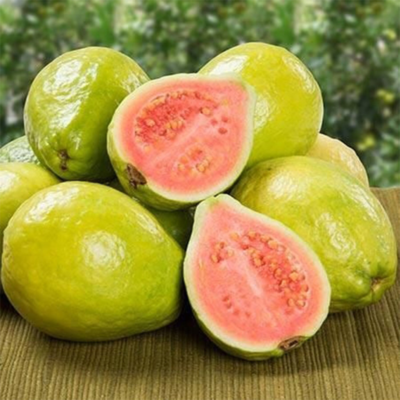 [熊猫鸟]新鲜红心芭乐 番石榴 净重3斤装 新鲜水果 甘甜可口高清大图