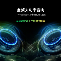雷鸟雀4 25款43英寸4K 高清智能网络WiFi语音低蓝光认证液晶平板电视机43F195C