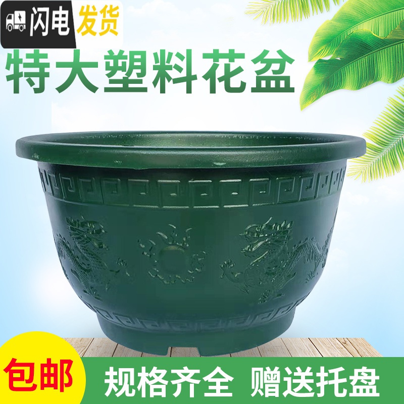 三维工匠塑料花盆特大庭院种植铁树盆景大花盆大码加厚烤漆 580外口径53cm高30cm(一对2个)深绿款 加厚加花盆容器