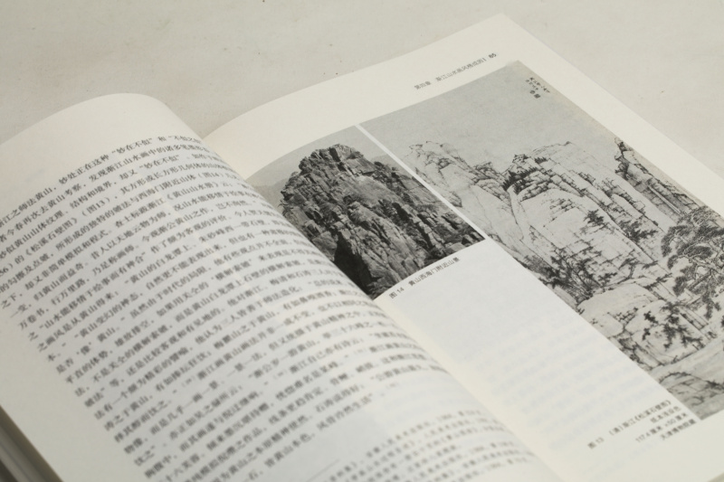 [醉染正版]渐江研究朵云文库书画论丛 吕少卿著 艺术文化理论 上海书画出版社高清大图