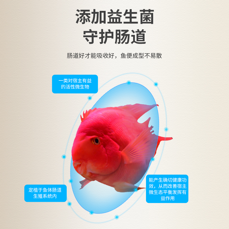 意牌血鹦鹉鱼饲料增红增艳鱼食热带鱼发财鱼鱼增色颗粒鱼粮