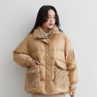 鸭鸭(yaya)新品女短款立领时尚加厚冬季羽绒服保暖外套