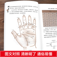 [正版]3册 图解三分钟手诊面诊足疗面诊手诊书籍图解大全 中医基础理论知识手疗望诊祛百病零基础学中医舌诊养生书籍大全畅